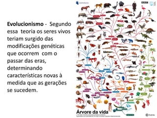 Evolucionismo - Segundo
essa teoria os seres vivos
teriam surgido das
modificações genéticas
que ocorrem com o
passar das eras,
determinando
características novas à
medida que as gerações
se sucedem.
 