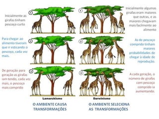 Teorias da Origem da vida e Evolução das espécies