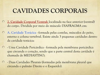 CAVIDADES CORPORAIS
2. Cavidade Corporal Ventral: localizada na face anterior (ventral)
do corpo. Dividida por meio do músculo DIAFRAGMA em:
A. Cavidade Torácica - formada pelas costelas, músculos do peito,
esterno e coluna vertebral. Existe ainda 3 pequenas cavidades dentro
da cavidade torácica:
- Uma Cavidade Pericárdica - formada pela membrana pericárdica
que circunda o coração, sendo que a parte central desta cavidade é
chamada de MEDIASTINO;
- Duas Cavidades Pleurais (formadas pela membrana pleural que
circunda o pulmão Direito e o Esquerdo).
 