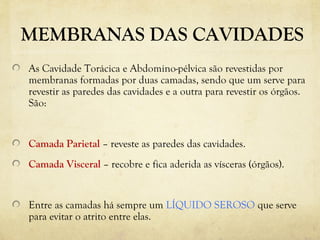 MEMBRANAS DAS CAVIDADES
As Cavidade Torácica e Abdomino-pélvica são revestidas por
membranas formadas por duas camadas, sendo que um serve para
revestir as paredes das cavidades e a outra para revestir os órgãos.
São:
Camada Parietal – reveste as paredes das cavidades.
Camada Visceral – recobre e fica aderida as vísceras (órgãos).
Entre as camadas há sempre um LÍQUIDO SEROSO que serve
para evitar o atrito entre elas.
 
