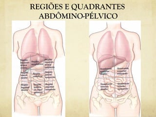 REGIÕES E QUADRANTES
ABDÔMINO-PÉLVICO
 