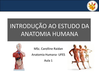 INTRODUÇÃO AO ESTUDO DA
ANATOMIA HUMANA
MSc. Carolline Raidan
Anatomia Humana- UFES
Aula 1
 