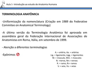 TERMINOLOGIA ANATÔMICA
-Uniformização da nomenclatura (Criação em 1989 do Federative
Commitee on Anatomical Terminology)
-A última versão da Terminologia Anatômica foi aprovada em
assembleia geral da Federação Internacional de Associações de
Anatomistas em Roma, Itália, em setembro de 1999.
- Atenção a diferentes terminologias
-Epônimos
Aula 1- Introdução ao estudo de Anatomia Humana
A. = artéria, Aa. = artérias
Lig. = ligamento, Ligg. = ligamentos
M. = músculo, Mm. = músculos
N. =nervo, Nn.= nervos
R. = ramo, Rr.= ramos
V. = veia, Vv. = veias
 