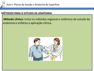 MÉTODOS PARA O ESTUDO DE ANATOMIA
Aula 2- Planos de Secção e Anatomia de Superfície
Método clínico: Inclui os métodos regional e sistêmico de estudo da
anatomia e enfatiza a aplicação clínica.
 