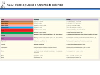 Aula 2- Planos de Secção e Anatomia de Superfície
 