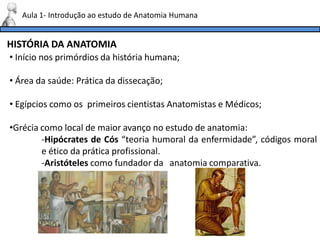HISTÓRIA DA ANATOMIA
Aula 1- Introdução ao estudo de Anatomia Humana
• Início nos primórdios da história humana;
• Área da saúde: Prática da dissecação;
• Egípcios como os primeiros cientistas Anatomistas e Médicos;
•Grécia como local de maior avanço no estudo de anatomia:
-Hipócrates de Cós “teoria humoral da enfermidade”, códigos moral
e ético da prática profissional.
-Aristóteles como fundador da anatomia comparativa.
 