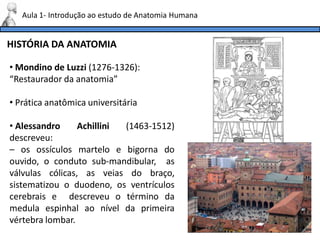HISTÓRIA DA ANATOMIA
Aula 1- Introdução ao estudo de Anatomia Humana
• Mondino de Luzzi (1276-1326):
“Restaurador da anatomia”
• Prática anatômica universitária
• Alessandro Achillini (1463-1512)
descreveu:
– os ossículos martelo e bigorna do
ouvido, o conduto sub-mandibular, as
válvulas cólicas, as veias do braço,
sistematizou o duodeno, os ventrículos
cerebrais e descreveu o término da
medula espinhal ao nível da primeira
vértebra lombar.
 