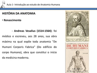 HISTÓRIA DA ANATOMIA
Aula 1- Introdução ao estudo de Anatomia Humana
• Renascimento
- Andreas Vesalius (1514-1564): foi
médico e escreveu, aos 28 anos, sua obra
máxima na qual expõe toda anatomia "De
Humani Corporis Fabrica" (Do edifício do
corpo Humano), obra que constitui o início
da medicina moderna.
 