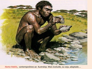 Homo Habilis, contemporâneo ao Australop. Mais evoluído, ou seja, adaptado....
 