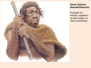 Homo Sapiens
Neanderthalensis.

Evolução do
erectus, espalhou-
se pelo antigo e o
novo continentes.
 