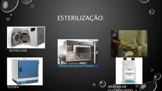 ESTERILIZAÇÃO:
AUTOCLAVE
ESTUFA IMERSÃO EM
 