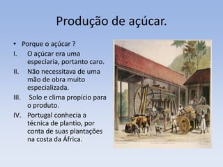 Produção de açúcar.
• Porque o açúcar ?
I. O açúcar era uma
especiaria, portanto caro.
II. Não necessitava de uma
mão de obra muito
especializada.
III. Solo e clima propício para
o produto.
IV. Portugal conhecia a
técnica de plantio, por
conta de suas plantações
na costa da África.
 