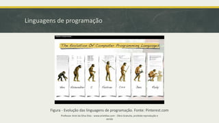 Linguagens de programação
Professor Ariel da Silva Dias - www.arieldias.com - Obra Gratuita, proibida reprodução e
venda
Figura - Evolução das linguagens de programação. Fonte: Pinterest.com
 