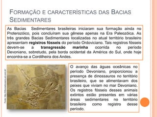 FORMAÇÃO E CARACTERÍSTICAS DAS BACIAS
SEDIMENTARES

Fonte: http://tribunadoceara.uol.com.br/

As Bacias Sedimentares brasileiras iniciaram sua formação ainda no
Proterozóico, pois concluíram sua gênese apenas na Era Paleozóica. As
três grandes Bacias Sedimentares localizadas no atual território brasileiro
apresentam registros fósseis do período Ordoviciano. Tais registros fósseis
devem-se
a
transgressão
marinha
ocorrida
no
período
Devoniano, sobretudo, pela borda ocidental da América do Sul, onde hoje
encontra-se a Cordilheira dos Andes.

O avanço das águas oceânicas no
período Devoniano, proporcionou a
presença de dinossauros no território
brasileiro, que se alimentavam dos
peixes que viviam no mar Devoniano.
Os registros fósseis desses animais
extintos estão presentes em várias
áreas sedimentares no território
brasileiro
como
registro
desse
período.

 