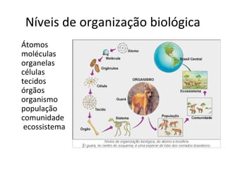 Níveis de organização biológica
Átomos
moléculas
organelas
células
tecidos
órgãos
organismo
população
comunidade
ecossistema

 