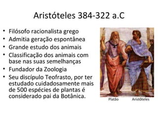 Aristóteles 384-322 a.C
•
•
•
•

Filósofo racionalista grego
Admitia geração espontânea
Grande estudo dos animais
Classificação dos animais com
base nas suas semelhanças
• Fundador da Zoologia
• Seu discípulo Teofrasto, por ter
estudado cuidadosamente mais
de 500 espécies de plantas é
considerado pai da Botânica.

Platão

Aristóteles

 