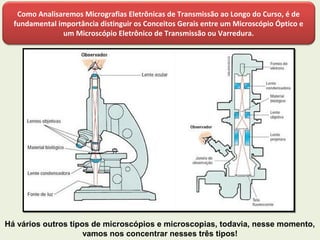 Como Analisaremos Micrografias Eletrônicas de Transmissão ao Longo do Curso, é de
fundamental importância distinguir os Conceitos Gerais entre um Microscópio Óptico e
um Microscópio Eletrônico de Transmissão ou Varredura.
Há vários outros tipos de microscópios e microscopias, todavia, nesse momento,
vamos nos concentrar nesses três tipos!
 