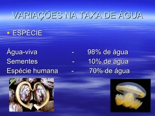 VARIAÇÕES NA TAXA DE ÁGUA ESPÉCIE Água-viva  -  98% de água Sementes  -  10% de água Espécie humana  -  70% de água  