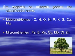 Em vegetais os minerais podem ser classificados como: Macronutrientes : C, H, O, N, P, K, S, Ca, Mg. Micronutrientes : Fe, B, Mn, Cu, Mb, Cl, Zn  