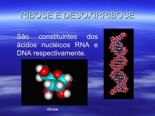 RIBOSE E DESOXIRRIBOSE São constituintes dos ácidos nucléicos RNA e DNA respectivamente. ribose 