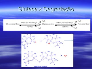 Síntese x Degradação 