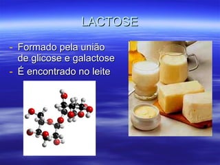 LACTOSE Formado pela união de glicose e galactose É encontrado no leite 