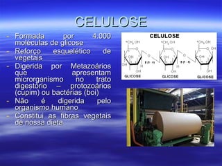 CELULOSE Formada por 4.000 moléculas de glicose Reforço esquelético de vegetais Digerida por Metazoários que apresentam microrganismo no trato digestório – protozoários (cupim) ou bactérias (boi) Não é digerida pelo organismo humano Constitui as fibras vegetais de nossa dieta 