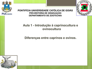 Aula 1 - Introdução à caprinocultura e
ovinocultura
Diferenças entre caprinos e ovinos.
PONTIFÍCIA UNIVERSIDADE CATÓLICA DE GOIÁS
PRÓ-REITORIA DE GRADUAÇÃO
DEPARTAMENTO DE ZOOTECNIA
 