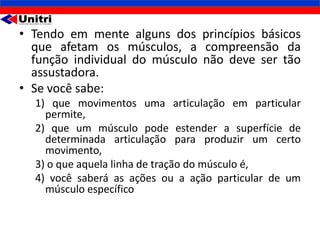 • Tendo em mente alguns dos princípios básicos
  que afetam os músculos, a compreensão da
  função individual do músculo não deve ser tão
  assustadora.
• Se você sabe:
  1) que movimentos uma articulação em particular
    permite,
  2) que um músculo pode estender a superfície de
    determinada articulação para produzir um certo
    movimento,
  3) o que aquela linha de tração do músculo é,
  4) você saberá as ações ou a ação particular de um
    músculo específico
 