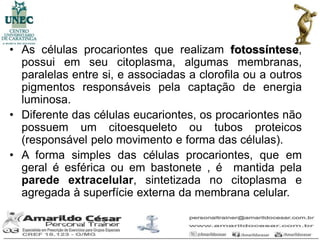 • As células procariontes que realizam fotossíntese,
  possui em seu citoplasma, algumas membranas,
  paralelas entre si, e associadas a clorofila ou a outros
  pigmentos responsáveis pela captação de energia
  luminosa.
• Diferente das células eucariontes, os procariontes não
  possuem um citoesqueleto ou tubos proteicos
  (responsável pelo movimento e forma das células).
• A forma simples das células procariontes, que em
  geral é esférica ou em bastonete , é mantida pela
  parede extracelular, sintetizada no citoplasma e
  agregada à superfície externa da membrana celular.
 