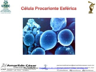 Foto retirada do site: http://www.evim.ethz.ch/uebungen/praxis/u1/vorlage_hp/vorlage.html
 