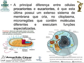 • A principal diferença entre células
  procariontes e eucariontes, é que esta
  última possui um extenso sistema de
  membrana que cria, no citoplasma,
  microrregiões que contêm moléculas
  diferentes    e   executam     funções
  especializadas.
 