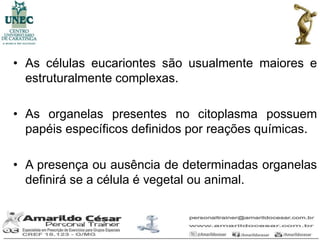 • As células eucariontes são usualmente maiores e
  estruturalmente complexas.

• As organelas presentes no citoplasma possuem
  papéis específicos definidos por reações químicas.

• A presença ou ausência de determinadas organelas
  definirá se a célula é vegetal ou animal.
 