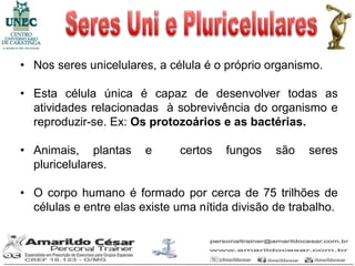 • Nos seres unicelulares, a célula é o próprio organismo.

• Esta célula única é capaz de desenvolver todas as
  atividades relacionadas à sobrevivência do organismo e
  reproduzir-se. Ex: Os protozoários e as bactérias.

• Animais, plantas      e     certos   fungos    são   seres
  pluricelulares.

• O corpo humano é formado por cerca de 75 trilhões de
  células e entre elas existe uma nítida divisão de trabalho.
 
