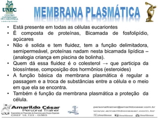• Está presente em todas as células eucariontes
• É composta de proteínas, Bicamada de fosfolipídio,
  açúcares
• Não é solida e tem fluidez, tem a função delimitadora,
  semipermeável, proteínas nadam nesta bicamada lipídica –
  (analogia criança em piscina de bolinha).
• Quem dá essa fluidez é o colesterol → que participa da
  biossíntese, composição dos hormônios (esteroides)
• A função básica da membrana plasmática é regular a
  passagem e a troca de substâncias entre a célula e o meio
  em que ela se encontra.
• Também é função da membrana plasmática a proteção da
  célula.
 