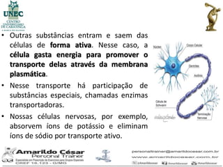 • Outras substâncias entram e saem das
  células de forma ativa. Nesse caso, a
  célula gasta energia para promover o
  transporte delas através da membrana
  plasmática.
• Nesse transporte há participação de
  substâncias especiais, chamadas enzimas
  transportadoras.
• Nossas células nervosas, por exemplo,
  absorvem íons de potássio e eliminam
  íons de sódio por transporte ativo.
 