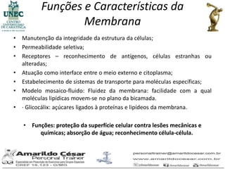 Funções e Características da
                   Membrana
•   Manutenção da integridade da estrutura da células;
•   Permeabilidade seletiva;
•   Receptores – reconhecimento de antígenos, células estranhas ou
    alteradas;
•   Atuação como interface entre o meio externo e citoplasma;
•   Estabelecimento de sistemas de transporte para moléculas específicas;
•   Modelo mosaico-fluido: Fluidez da membrana: facilidade com a qual
    moléculas lipídicas movem-se no plano da bicamada.
•   · Glicocálix: açúcares ligados à proteínas e lipídeos da membrana.

    •   Funções: proteção da superfície celular contra lesões mecânicas e
           químicas; absorção de água; reconhecimento célula-célula.
 