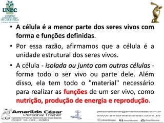 • A célula é a menor parte dos seres vivos com
  forma e funções definidas.
• Por essa razão, afirmamos que a célula é a
  unidade estrutural dos seres vivos.
• A célula - isolada ou junto com outras células -
  forma todo o ser vivo ou parte dele. Além
  disso, ela tem todo o "material" necessário
  para realizar as funções de um ser vivo, como
  nutrição, produção de energia e reprodução.
 