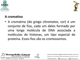 A cromatina
• A cromatina (do grego chromatos, cor) é um
  conjunto de fios, cada um deles formado por
  uma longa molécula de DNA associada a
  moléculas de histonas, um tipo especial de
  proteína. Esses fios são os cromossomos.
 