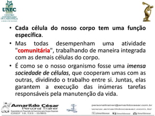 • Cada célula do nosso corpo tem uma função
  específica.
• Mas todas desempenham uma atividade
  "comunitária", trabalhando de maneira integrada
  com as demais células do corpo.
• É como se o nosso organismo fosse uma imensa
  sociedade de células, que cooperam umas com as
  outras, dividindo o trabalho entre si. Juntas, elas
  garantem a execução das inúmeras tarefas
  responsáveis pela manutenção da vida.
 