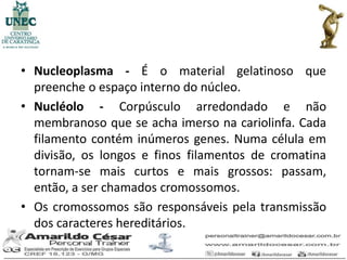 • Nucleoplasma - É o material gelatinoso que
  preenche o espaço interno do núcleo.
• Nucléolo - Corpúsculo arredondado e não
  membranoso que se acha imerso na cariolinfa. Cada
  filamento contém inúmeros genes. Numa célula em
  divisão, os longos e finos filamentos de cromatina
  tornam-se mais curtos e mais grossos: passam,
  então, a ser chamados cromossomos.
• Os cromossomos são responsáveis pela transmissão
  dos caracteres hereditários.
 