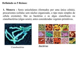Definindo os 5 Reinos:
1. Monera - Seres unicelulares (formados por uma única célula),
procariontes (células sem núcleo organizado, o tipo mais simples de
célula existente). São as bactérias e as algas cianofíceas ou
cianobactérias (algas azuis), antes consideradas vegetais primitivos.
Cianobactérias
 