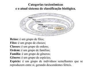 Categorias taxionômicas
e o atual sistema de classificação biológica.
Reino: é um grupo de filos;
Filos: é um grupo de classes;
Classes: é um grupo de ordens;
Ordem: é um grupo de famílias;
Família: é um grupo de gêneros;
Gênero: é um grupo de espécies;
Espécie: é um grupo de indivíduos semelhantes que se
reproduzem entre si, gerando descendentes férteis.
 