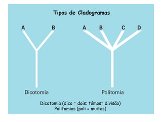 Tipos de Cladogramas
Dicotomia (dico = dois; tómos= divisão)
Politomias (poli = muitos)
 