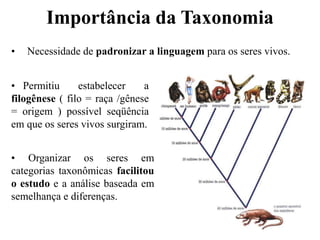 • Necessidade de padronizar a linguagem para os seres vivos.
• Permitiu estabelecer a
filogênese ( filo = raça /gênese
= origem ) possível seqüência
em que os seres vivos surgiram.
• Organizar os seres em
categorias taxonômicas facilitou
o estudo e a análise baseada em
semelhança e diferenças.
Importância da Taxonomia
 