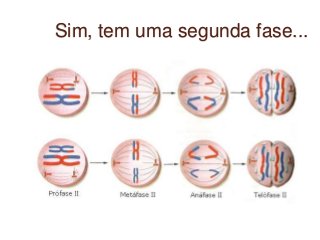 Sim, tem uma segunda fase...
 