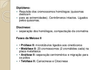 Diplóteno:
 Repulsão dos cromossomos homólogos (quiasmas
deslizam
 para as extremidades). Centrômeros intactos. Ligados
pelos quiasmas.
Diacinese:
 separação dos homólogos, compactação da cromatina
Fases da Meiose II
 • Prófase II: microtúbulos ligados aos cinetócoros
 • Metáfase II: 23 cromossomos (2 cromátides cada) na
placa metafásica
 • Anáfase II: separação centromérica e migração para
os pólos
 • Telófase II: Cariocinese e Citocinese
 