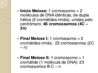  Início Meiose: 1 cromossomo = 2
moléculas de DNA idênticas, de dupla
hélice (2 cromátides-irmãs), unidas pelo
centrômero: 46 cromossomos (4C –
2n)
 Final Meiose I: 1 cromossomo = 2
cromátides-irmãs: 23 cromossomos (2C
– n)
 Final Meiose II: 1 cromossomo = 1
cromátide (1 molécula de DNA): 23
cromossomos ® C – n
 