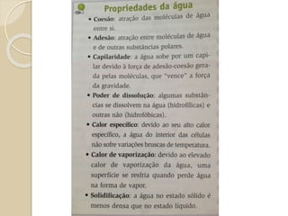  Seres vivos são constituídos de moléculas.
 Todos são constituídos pelos mesmos tipos de
moléculas.
 Em nível molecular todos os organismos
funcionam da mesma forma.
 