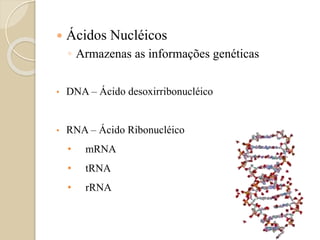 Lipídeos
• Ácidos graxos, Fosfolipídios, Colesterol
• São insolúveis em água
• Triglicerídeos: gorduras
 